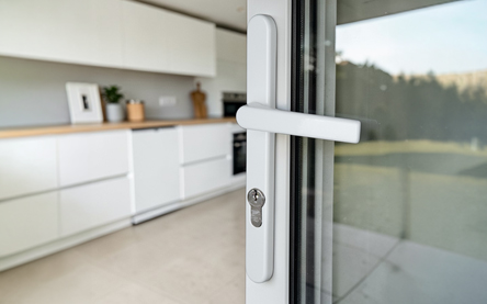 /63-poignee-de-porte-d-entree-extra-plate